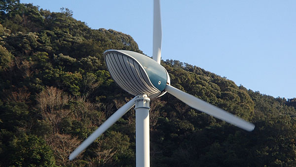 くじらのデザイン